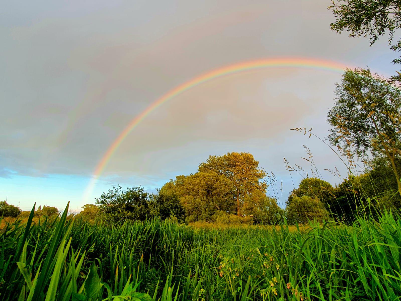 River Coln at Dudgrove, taken by Angus Griffiths 