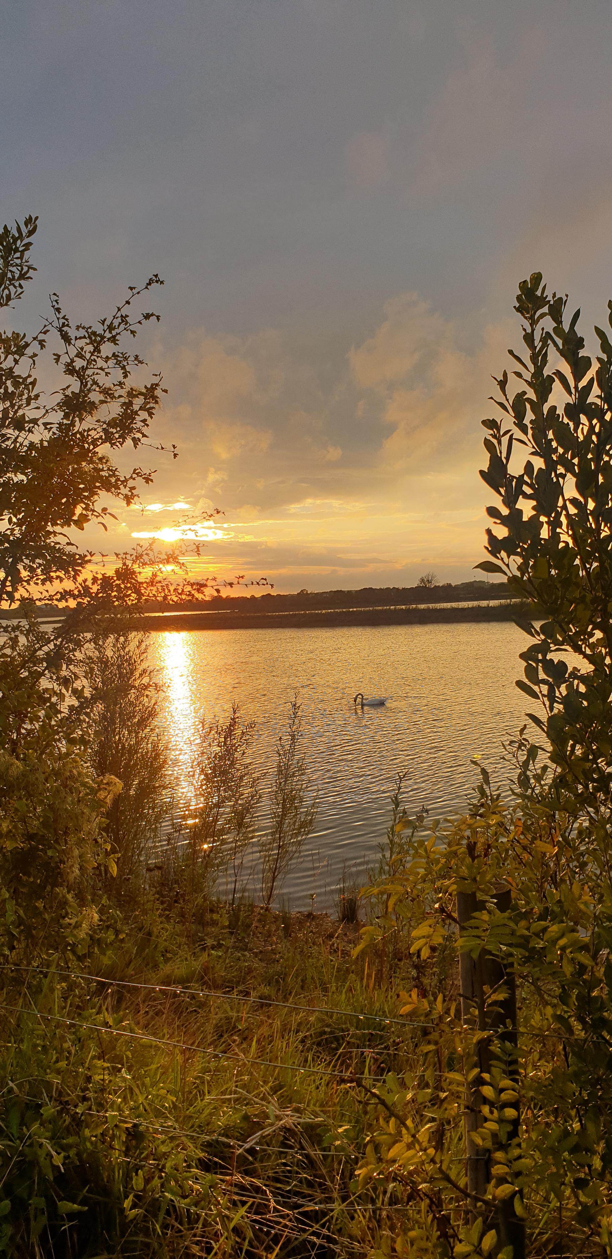 Kempsford Quarry Sunset, taken by Mark Saunders